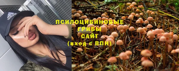 меф Няндома